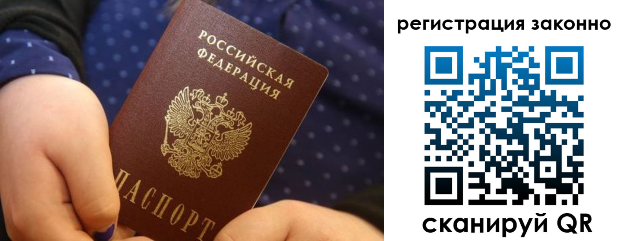 пропишу в квартире в Владимире