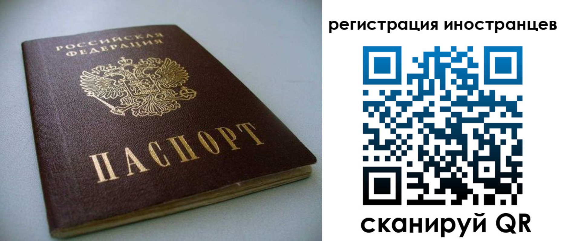 пропишу в квартире в Владимире