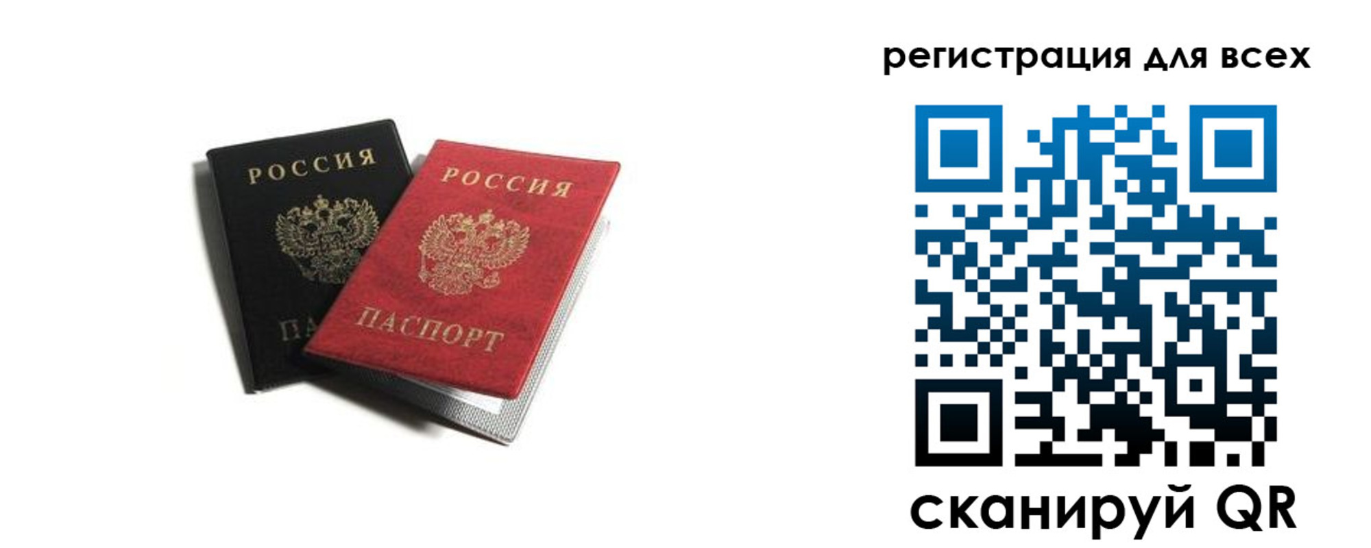 прописка гарантия в Владимире